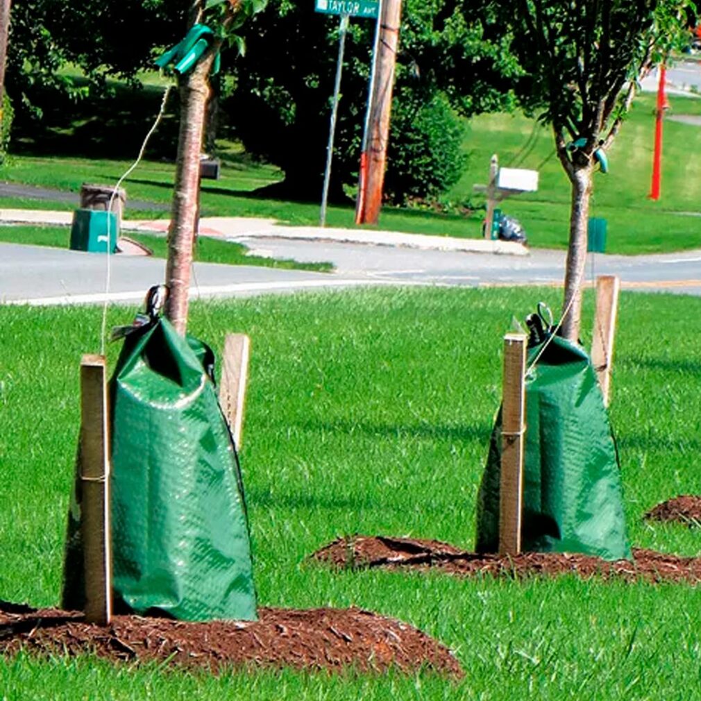 Bolsas de riego para árboles y arbustos