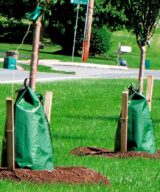 Bolsas de riego para árboles y arbustos