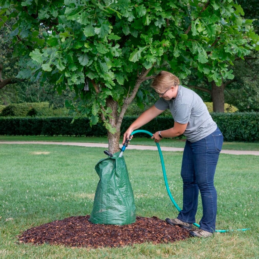 Bolsas de riego para árboles y arbustos