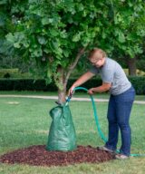 Bolsas de riego para árboles y arbustos